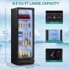 imageYITAHOME 6 CUFT Commercial Beverage Display Refrigerator with Single One Glass Door Drink Beer Fridge Cooler for Office Garage Bar Gym with Locking Led ampamp 2 Keys85 CUFT