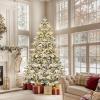 imageYITAHOME 6FT Prelit Slim Fraser Grande Christmas Tree with Remote Control Artificial Hinged Drooping Pencil Prelit Holiday Christmas Tree w 1628 Mixed PE ampamp PVC Tips 300 Lights ampamp 11 Light ModesWhite Snow