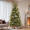 imageYITAHOME 6FT Prelit Slim Fraser Grande Christmas Tree with Remote Control Artificial Hinged Drooping Pencil Prelit Holiday Christmas Tree w 1628 Mixed PE ampamp PVC Tips 300 Lights ampamp 11 Light ModesGreen With Pe Tips