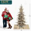imageYITAHOME 6FT Prelit Slim Fraser Grande Christmas Tree with Remote Control Artificial Hinged Drooping Pencil Prelit Holiday Christmas Tree w 1628 Mixed PE ampamp PVC Tips 300 Lights ampamp 11 Light ModesWhite Flocked