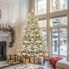 imageYITAHOME 6FT Prelit Slim Fraser Grande Christmas Tree with Remote Control Artificial Hinged Drooping Pencil Prelit Holiday Christmas Tree w 1628 Mixed PE ampamp PVC Tips 300 Lights ampamp 11 Light ModesWhite Snow