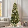 imageYITAHOME PreLit Black Pencil Halloween Christmas Tree 6ft wRemote Black Slim Artificial Christmas Tree Prelit Pencil Christmas Tree w 200 LED Lights ampamp 700 Branch Tips  Holiday DecorGreen