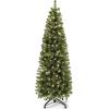 imageYITAHOME PreLit Black Pencil Halloween Christmas Tree 6ft wRemote Black Slim Artificial Christmas Tree Prelit Pencil Christmas Tree w 200 LED Lights ampamp 700 Branch Tips  Holiday DecorGreen