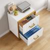 imageYITAHOME 2 Drawer File Cabinet Lateral Filing Cabinet for Home Office White and GoldWhite
