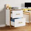 imageYITAHOME 2 Drawer File Cabinet Lateral Filing Cabinet for Home Office White and GoldWhite