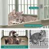 imageYITAHOME 41 2Tier Cat Cage Cat Crate with Door Locks and Bottom ThreeDoor Design Plastic Ferret Cage Large Rabbit Cage Indoor Chinchilla Cage Small Animal Cages Catio with Wheels and Ladder258L x 20W x 41H