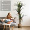 imageYITAHOME 525FT 63in Tall Artificial Tree 30 LED Prelit Fall Christmas Decor Artificial Plants Dragon Blood Tree Faux Tree Plant Greenery Potted Plan for Indoor Outdoor Office Porch Decor 2 Packs2 Packs