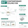 imageYITAHOME 60 Inch Black Ceiling Fan with Lights and Remote8 BladesApp Control Modern Smart Ceiling Fan Compatible with Alexa for Indoor Reversible Quiet Motor Memory FunctionWhite  Gold