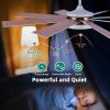 imageYITAHOME 60 Inch Black Ceiling Fan with Lights and Remote8 BladesApp Control Modern Smart Ceiling Fan Compatible with Alexa for Indoor Reversible Quiet Motor Memory FunctionWhite  Gold