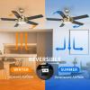 imageYITAHOME Ceiling Fan with Light and Wall Switch Remote 52 Inch Modern Black Fan Quiet Reversible Motor Dimmable LED 3Color Memory Function for Bedroom Living RoomBlack  Gold