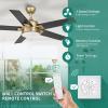 imageYITAHOME Ceiling Fan with Light and Wall Switch Remote 52 Inch Modern Black Fan Quiet Reversible Motor Dimmable LED 3Color Memory Function for Bedroom Living RoomBlack  Gold