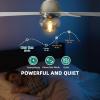 imageYITAHOME Ceiling Fans with Lights Unique Designs for Glass Lampshade and Fan Blades 52 Inch Black Ceiling Fan 6 Speeds Reversible Quiet DC Motor Fan for Living Room Dining Room Bedroom BlackNickel
