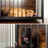 imageYITAHOME Double Dog Crate Furniture with Dog Feeder 748quot Wooden Decorative Dog Kennel Furniture Indoor Heavy Duty Dog Crate with Drawers 2 Room Divider for 2 Medium Large Dogs BrownBrown
