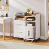 imageYITAHOME File Cabinet with Charging Station 2 Drawer Lateral Filing Cabinet Printer Stand with Open Storage Shelf for Home Office WhiteWhite