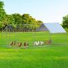 imageYITAHOME Large Metal Chicken Run Walkin Poultry Cage Hen Run House Duck House Rabbits Cage Spire Shaped Coop with Waterproof Cover for Outdoor Back Yard Farm Use3 Cages
