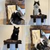 imageYITAHOME Modern Cat Tree with Litter Box Enclosure Combo Endtable and Large Cat Tower with Basket 4in1 Litter Box Furniture Hidden and Scratching Post for Large CatsRustic Brown