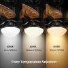 imageYITAHOME Tropical Ceiling Fans with Light and Remote 52 Inch Fan Light with Memory Function Lights Colors Changing Quiet Motor Timer Palm Leaf Blades for Indoor  GoldWalnut