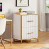 imageYITAHOME 2 Drawer File Cabinet Lateral Filing Cabinet for Home Office White and GoldWhite