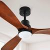 Walnut Blades Black Body