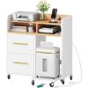 imageYITAHOME File Cabinet with Charging Station 2 Drawer Lateral Filing Cabinet Printer Stand with Open Storage Shelf for Home Office WhiteWhite