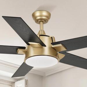 imageYITAHOME Ceiling Fan with Light and Wall Switch Remote 52 Inch Modern Black Fan Quiet Reversible Motor Dimmable LED 3Color Memory Function for Bedroom Living RoomBlack  Gold