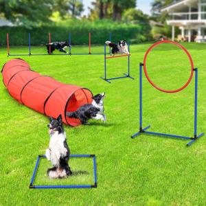 imageYITAHOME Dog Agility Equipments Includes Flirt Pole 3 Flying Discs 2 Agility Tunnel 3 Jumps 6 Weave Poles Pause Box Agility Course Set for Backyard Indoor Outdoor1Pc Tunnel
