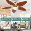 imageYITAHOME 52 inch Ceiling Fans with Lights Tropical Ceiling Fans with Lights and Remote TriColor LED Reversible 6Speed wQuiet DC Motor Timing Functions for Living Room Dining Room BedroomYellow Brown