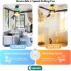 imageYITAHOME 60 Inch Ceiling Fan with Light and Remote Control Crystal Rod Chandelier Design Reversible Quiet Motor White Gold Finish 3 Color LED Options Memory FunctionBlack Gold