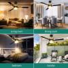 imageYITAHOME 60 Inch Ceiling Fan with Light and Remote Control Crystal Rod Chandelier Design Reversible Quiet Motor White Gold Finish 3 Color LED Options Memory FunctionBlack Gold