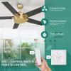 imageYITAHOME Ceiling Fan with Wall Switch Remote 52 Inch Modern Black Gold Ceiling Fan No Lights Quiet Reversible Motor Indoor Fanlight for Bedroom Living Room Patio Porch GazeboBlack  Gold