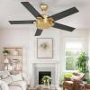 imageYITAHOME Ceiling Fan with Wall Switch Remote 52 Inch Modern Black Gold Ceiling Fan No Lights Quiet Reversible Motor Indoor Fanlight for Bedroom Living Room Patio Porch GazeboBlack  Gold