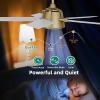 imageYITAHOME Ceiling Fan with Wall Switch Remote 52 Inch Modern Black Gold Ceiling Fan No Lights Quiet Reversible Motor Indoor Fanlight for Bedroom Living Room Patio Porch GazeboWhite  Gold