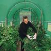 imageYITAHOME10x7x7 Greenhouses Large Walkin Green House Heavy Duty Tunnel Green Houses Outdoor Portable Plant Gardening Upgraded Galvanized Steel Frame Zipper Doors 5 Crossbars GardenGreenhouse