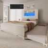imageYITAHOME Bed with Trundle Twin Size Bed Frame with Bookcase Daybed Storage Headboard and Charging Station RGB LED Lights Bed with Wooden Support for Bedroom No Box Spring Needed Noise Free WhiteWhite