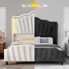 imageYITAHOME Queen Size Platform Bed Frame with 60quot Tall Wingback Headboard and Footboard Velvet Upholstered Bed with LED Light Solid Wood Leg No Box Spring Needed Easy Assembly BeigeBeige