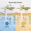 imageYITAHOME Tropical Ceiling Fan with LED Light and Remote 52 Inch Black Palm Leaf Fan for Home with Memory Function 5 Leaf Blades Reversible DC Quiet Motor for Porch Farmhouse Indoor BrownGold