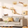 image:imageYITAHOME Cat Wall Shelves and Perches for Wall Solid Wood Wall Mounted Cat Furniture 9 Piece Set Cat Climbing Shelves Playground Scratching Post with 4 Steps Indoor Mounted Condos House