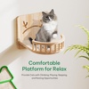 image:imageYITAHOME Solid Wood Cat Wall Shelves and Perches for Wall Pine Wall Mounted Cat Tree 16 Piece Set Cat Climbing Shelves with House Warmer Mat Cat Scratcher Feeding Bowl for Cats