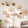 image:imageYITAHOME Solid Wood Cat Wall Shelves and Perches for Wall Pine Wall Mounted Cat Tree 16 Piece Set Cat Climbing Shelves with House Warmer Mat Cat Scratcher Feeding Bowl for Cats