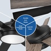 image:imageYITAHOME 60 Inch Black Ceiling Fan with Light and Remote DC Fanlight for Indoor Outdoor Modern Light Fan with 6 Speeds 3 Color Temperatures Memory Function Quiet Reversible Motor TLCFLS0014
