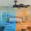 image:imageYITAHOME 60 Inch Black Ceiling Fan with Light and Remote DC Fanlight for Indoor Outdoor Modern Light Fan with 6 Speeds 3 Color Temperatures Memory Function Quiet Reversible Motor TLCFLS0014