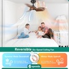 image:imageYITAHOME Ceiling Fans with Lights and Remote 26 Inch Modern Indoor Outdoor Ceiling Fan with Dimmable Reversible DC Quiet Motor Memory Function for Patio Farmhouse Bedroom