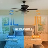 image:imageYITAHOME Chandelier Ceiling Fan Light with Remote 52 Inch Fandelier Indoor Fan Ceiling with 3 Speed Silent Reversible Motor DualSided Blades Timer Balance Kit  Black MAYIH0000619MA