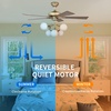 image:imageYITAHOME Tropical Ceiling Fans with Light and Remote 52 Inch Fan Light with Quiet Reversible Motor 3 Speed amp Lights Colors Changing Timer Palm Leaf Blades for OutdoorIndoor  Brass